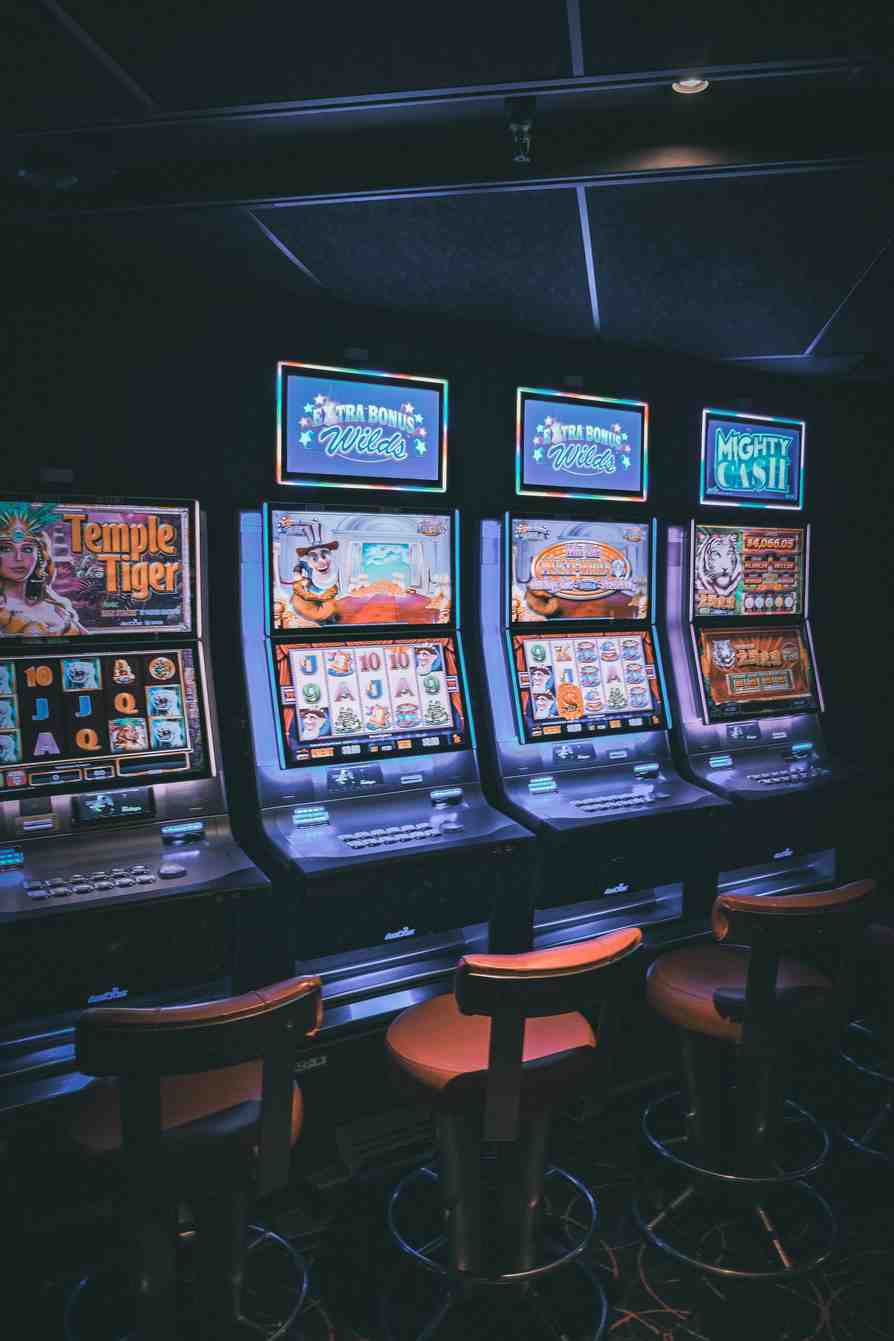 octocasino octocasino